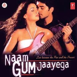 Cover of Naam Gum Jaayega