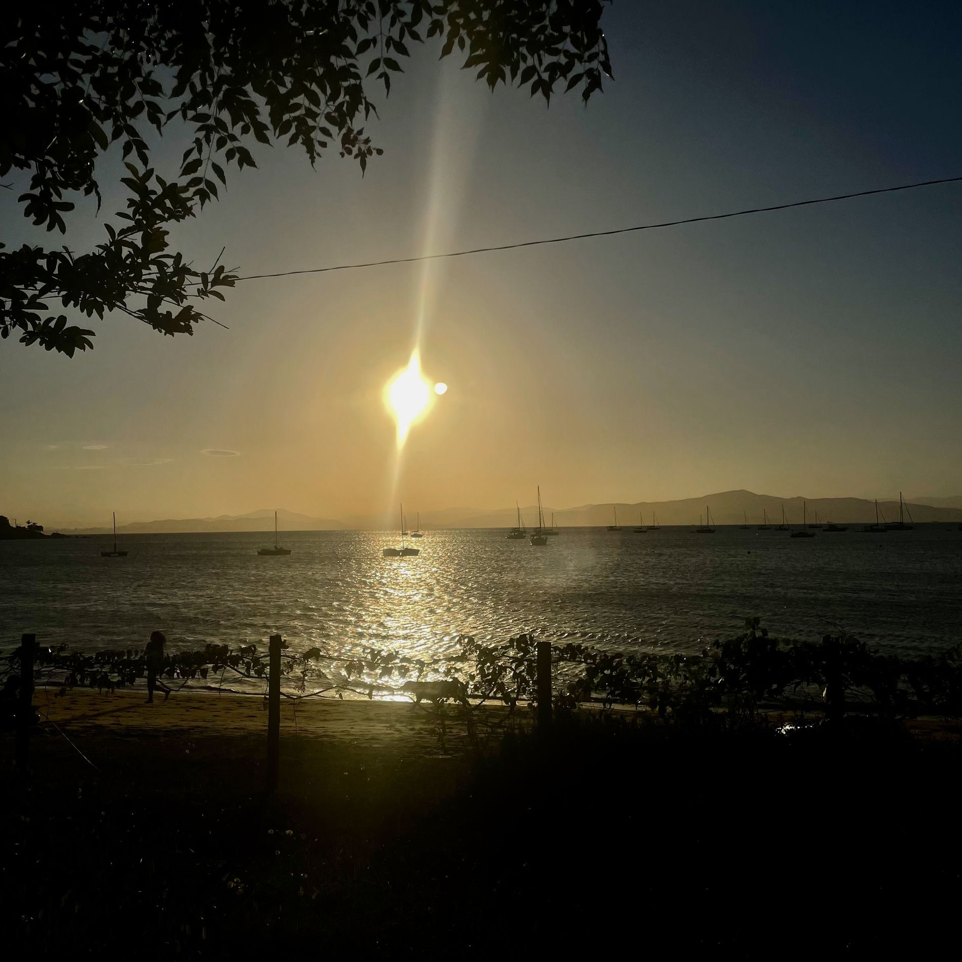 Album cover of Terra dos Sonhos