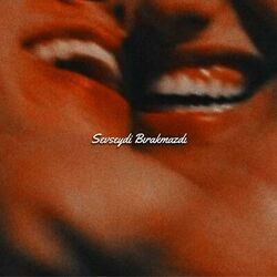 Cover of Sevseydi Bırakmazdı