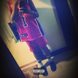 Cover of 2015