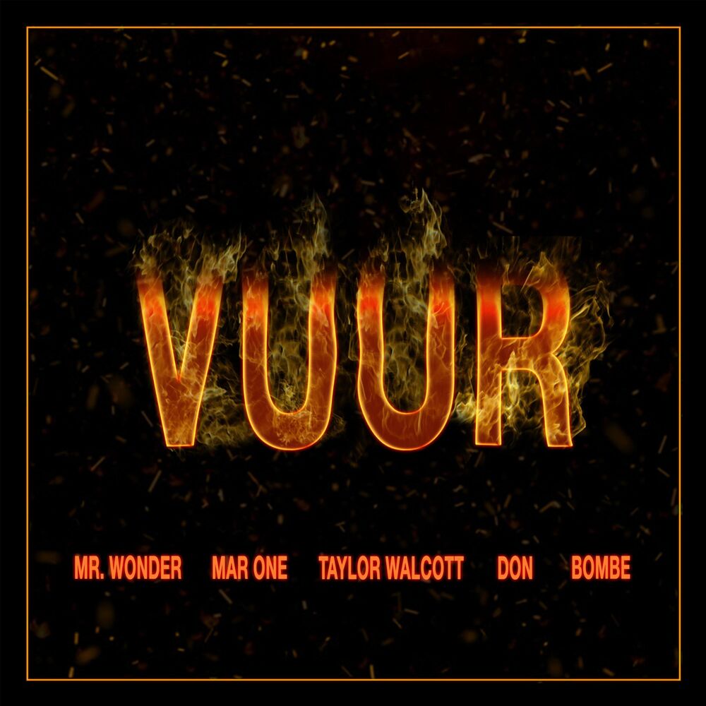 Picture of Vuur