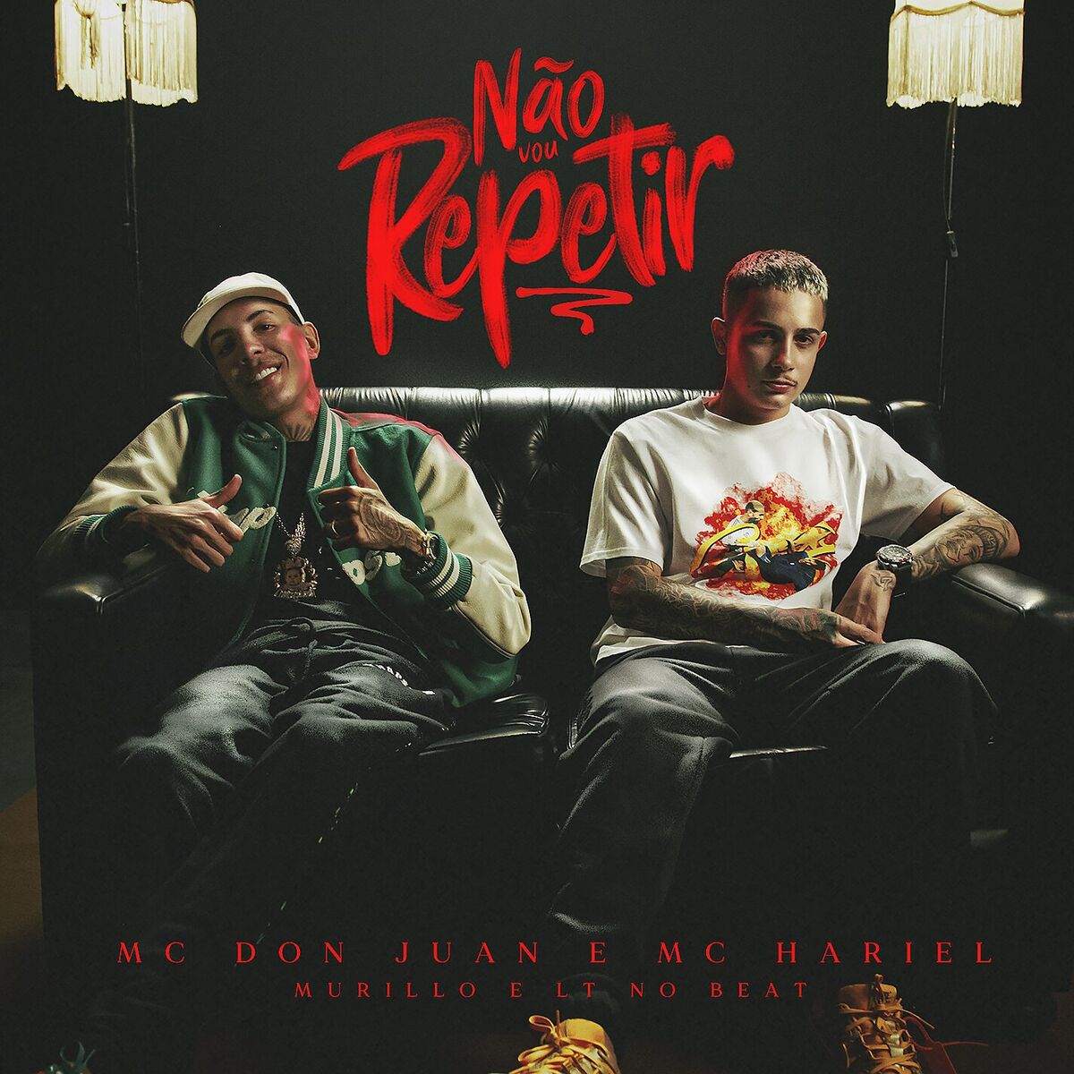 Album picture of Não Vou Repetir