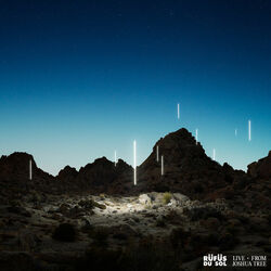 Cover of Live from Joshua Tree
