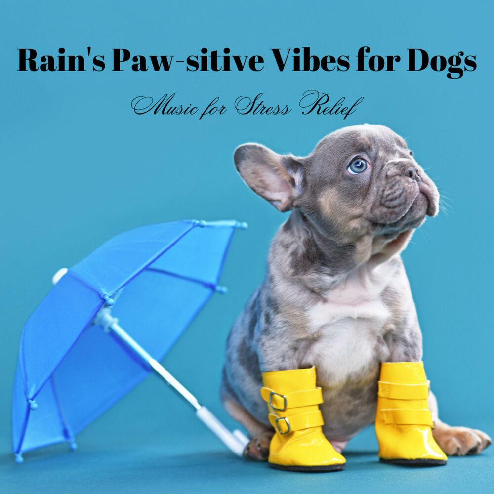 Picture of Rain's Paw-sitive Vibes for Dogs: Music for Stress Relief