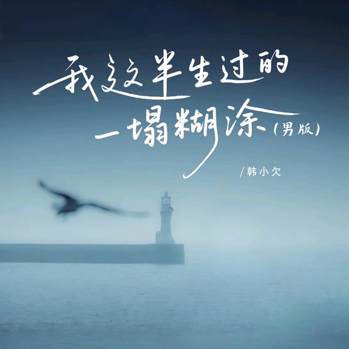 我这半生过的一塌糊涂 (男版)