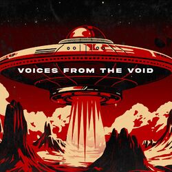 Cover of Voices from the Void