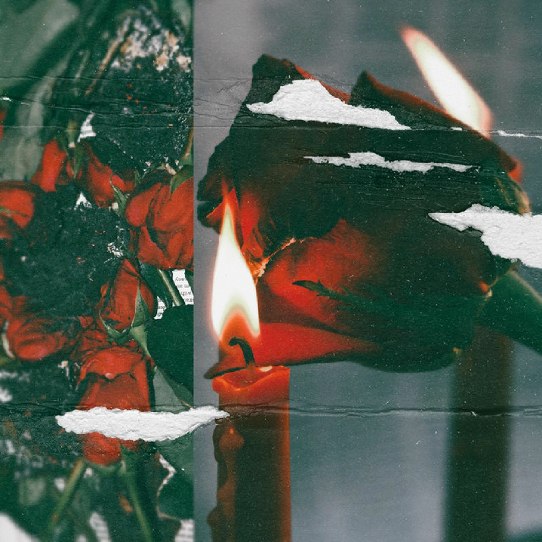 Album cover of You're a Parasite