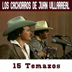 Cover of 15 Temazos