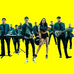 Cover of Nuestros Éxitos