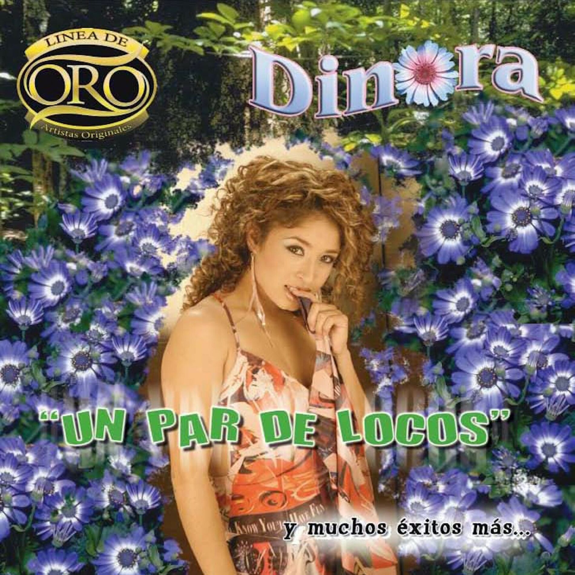 Album cover of Un Par De Locos
