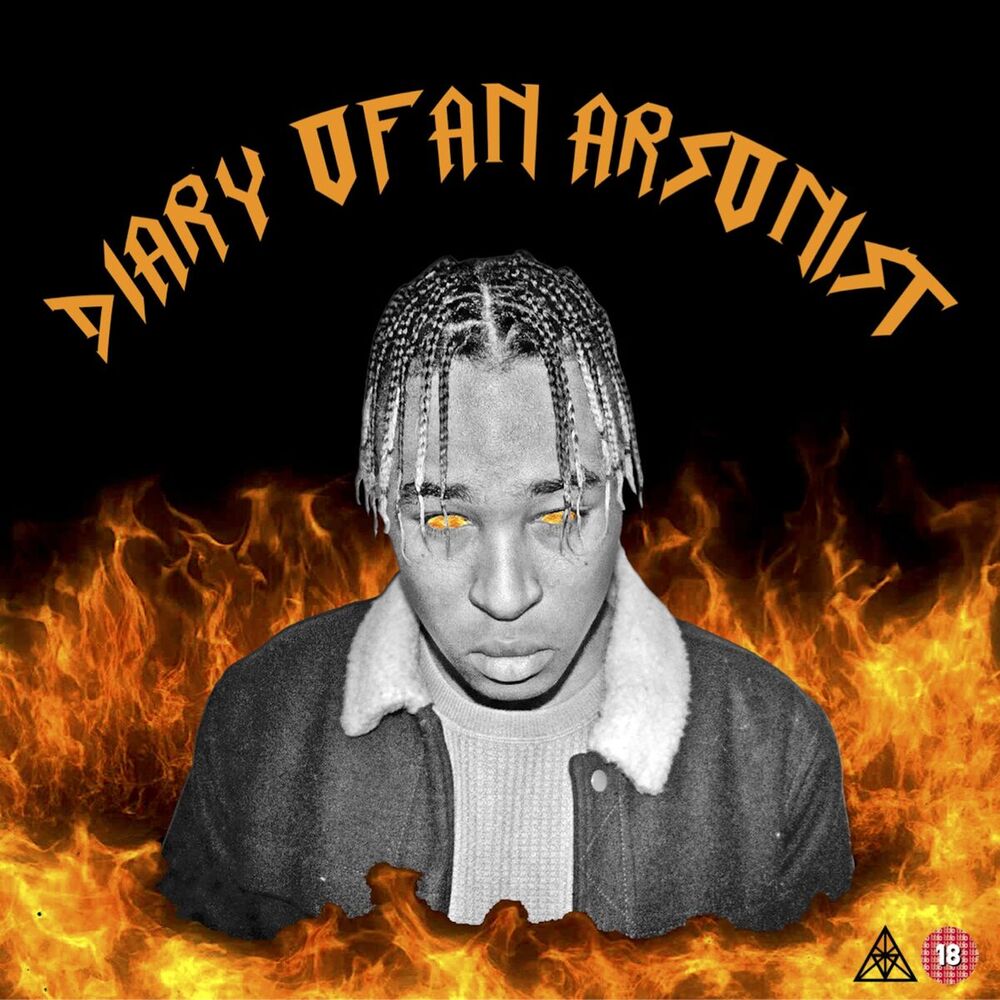 Picture of Diary Of An Arsonist