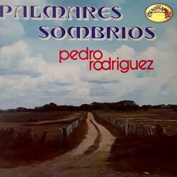 Cover of Palmares Sombríos