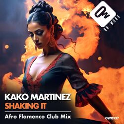 Cover of Shaking it (Afro Flamenco Club Mix)
