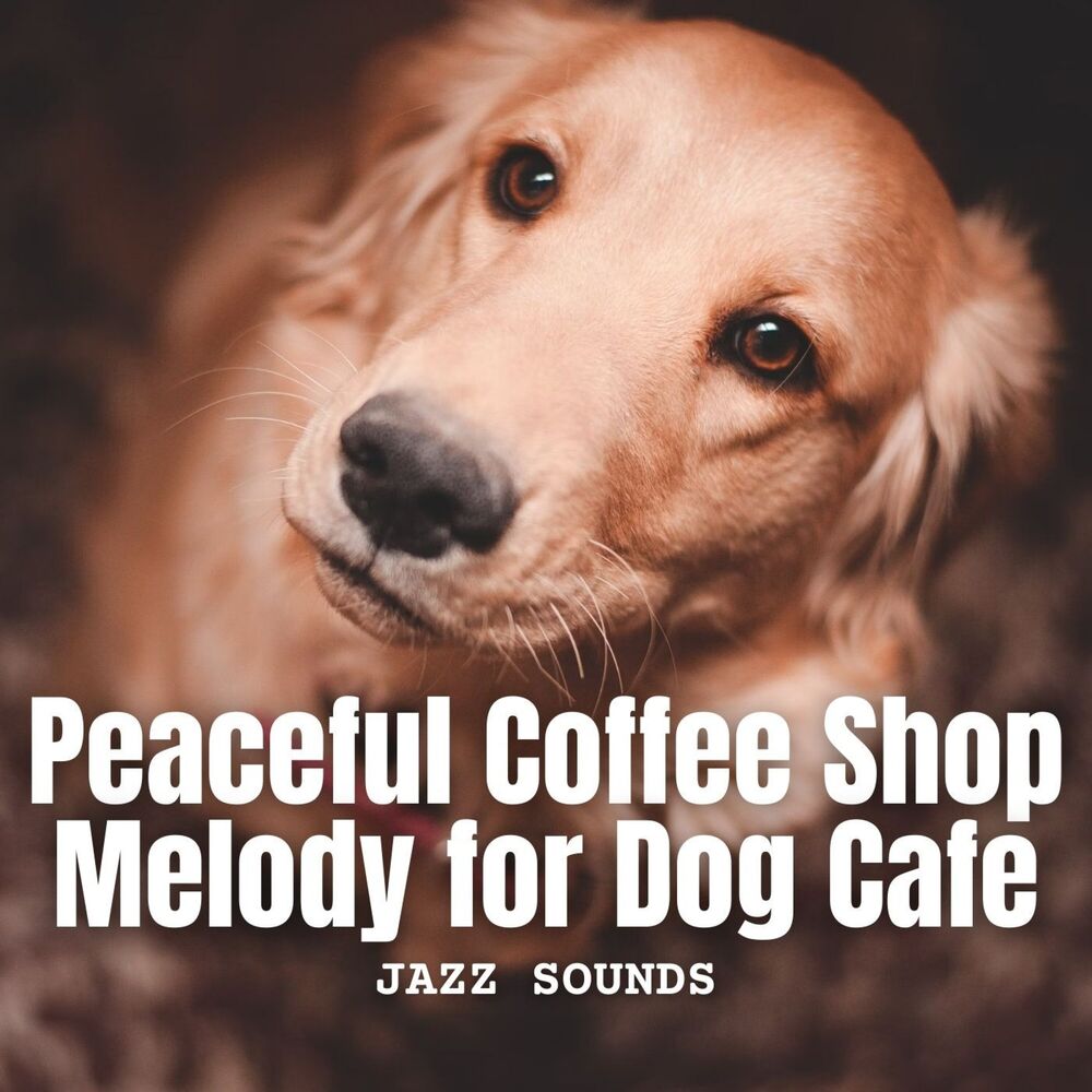 Picture of Jazz Sounds: Peaceful Coffee Shop Melody for Dog Cafe