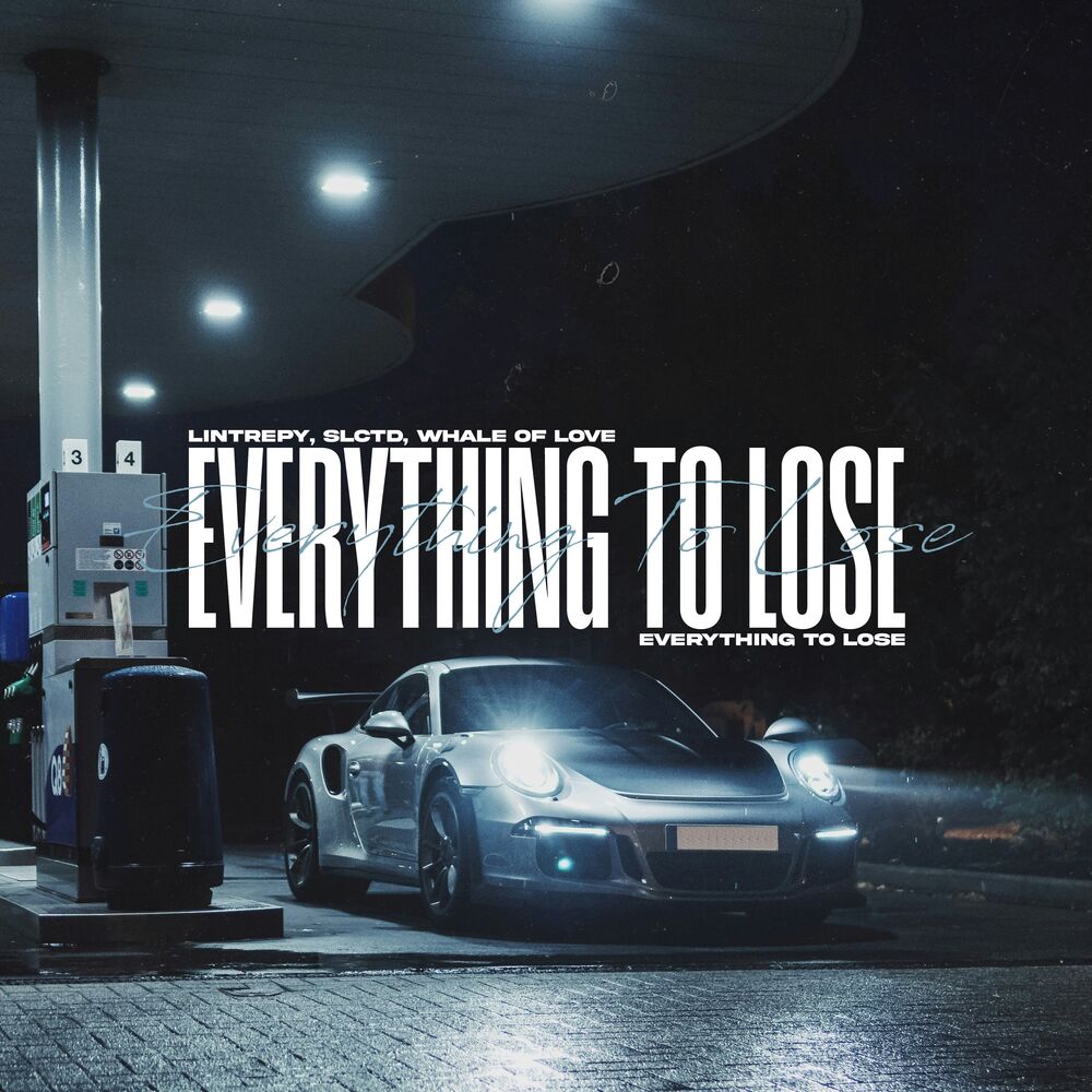 Picture of Everything To Lose