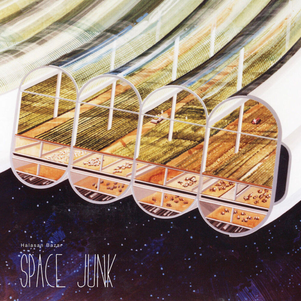 Picture of Space Junk