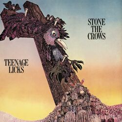 Cover of Teenage Licks