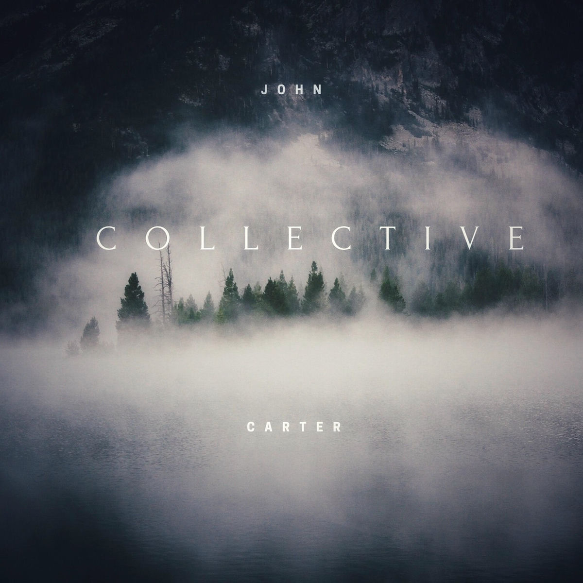 Album cover of Collective