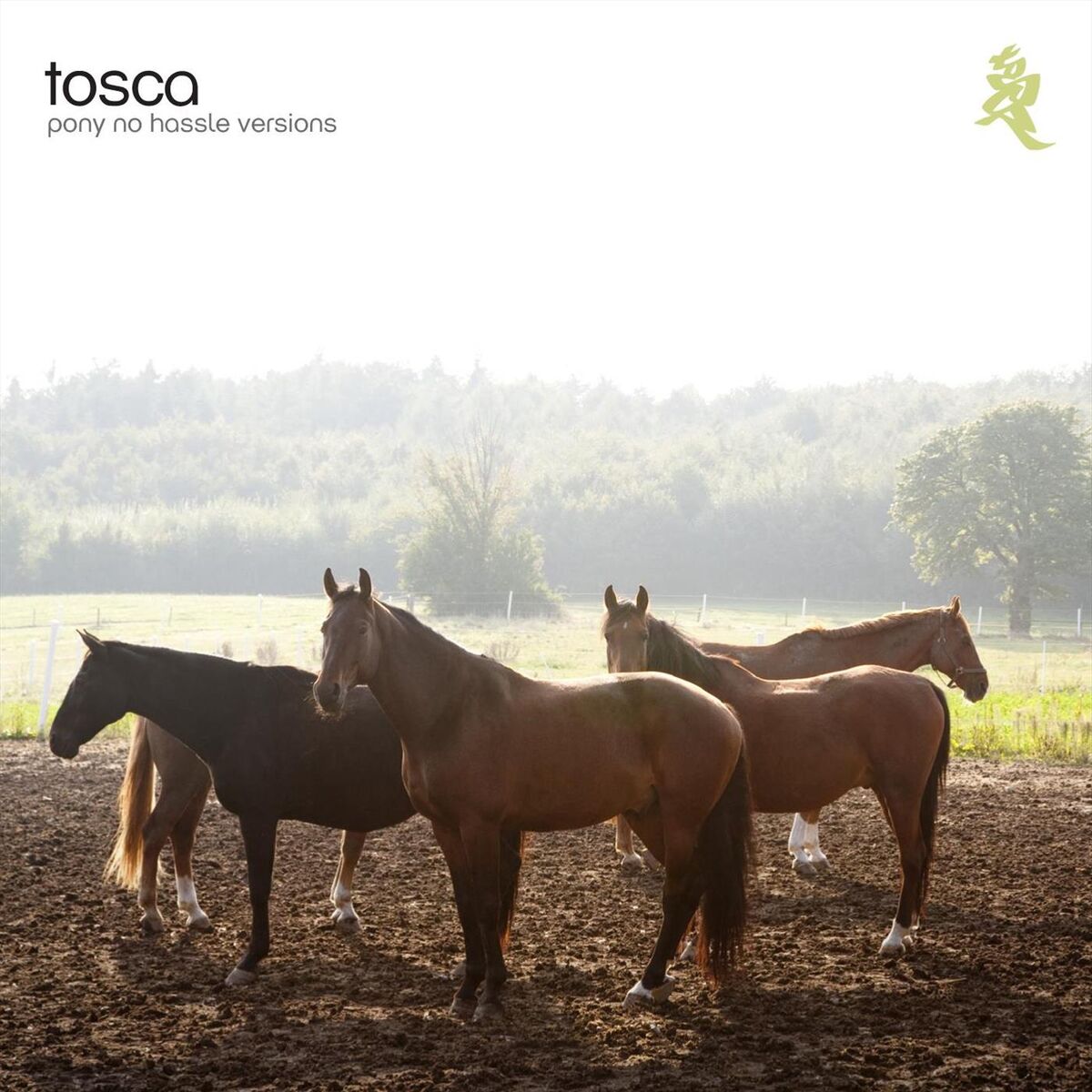 Album cover of Springer