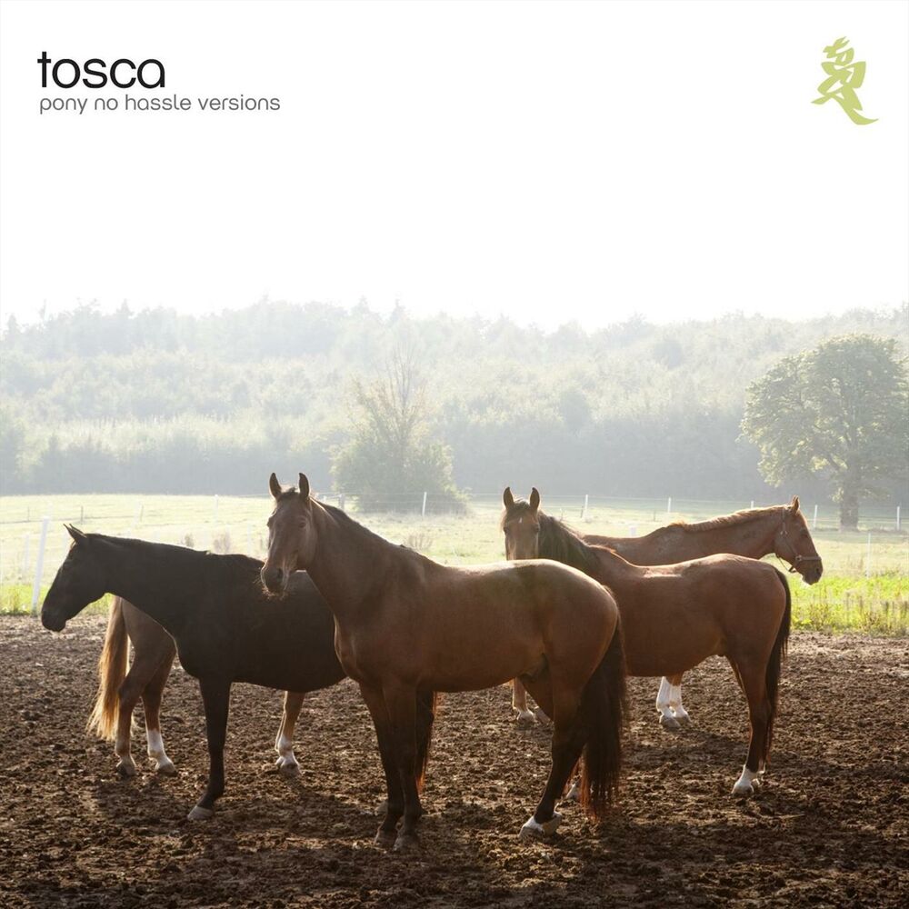 Picture of Pony - No Hassle Versions