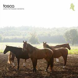 Cover of Pony - No Hassle Versions