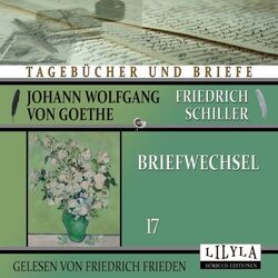 Cover of Briefwechsel 17