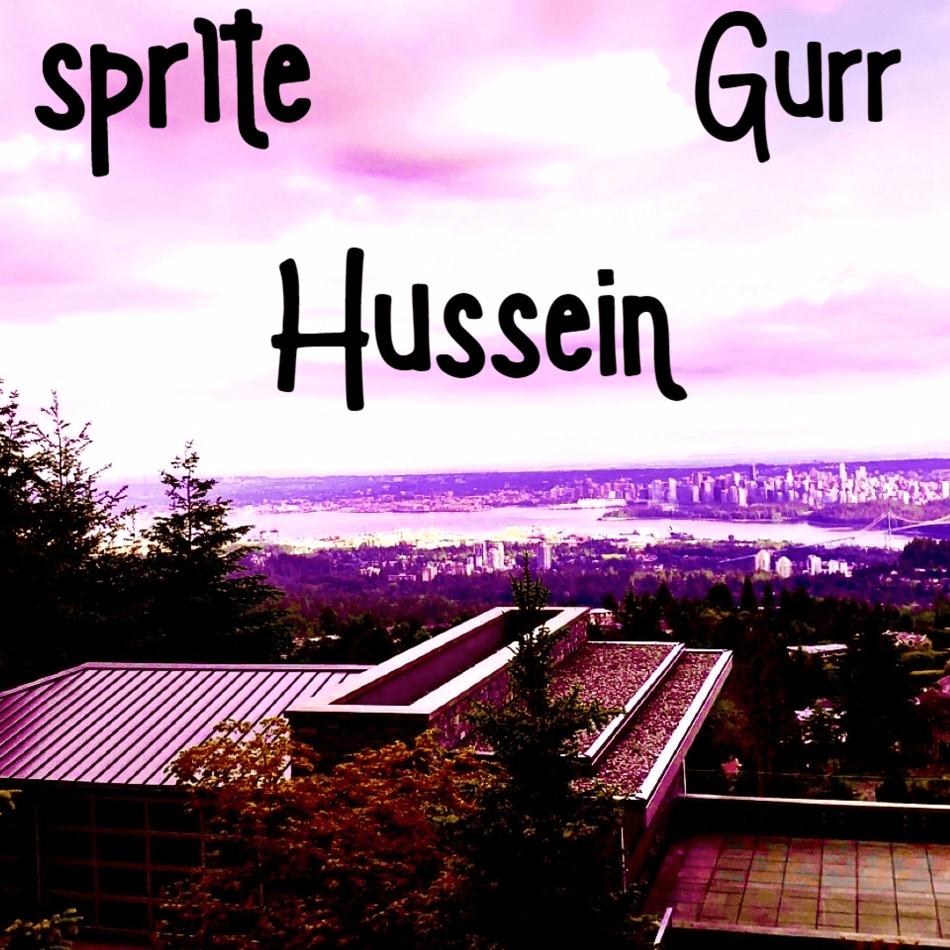 Album cover of Hussein