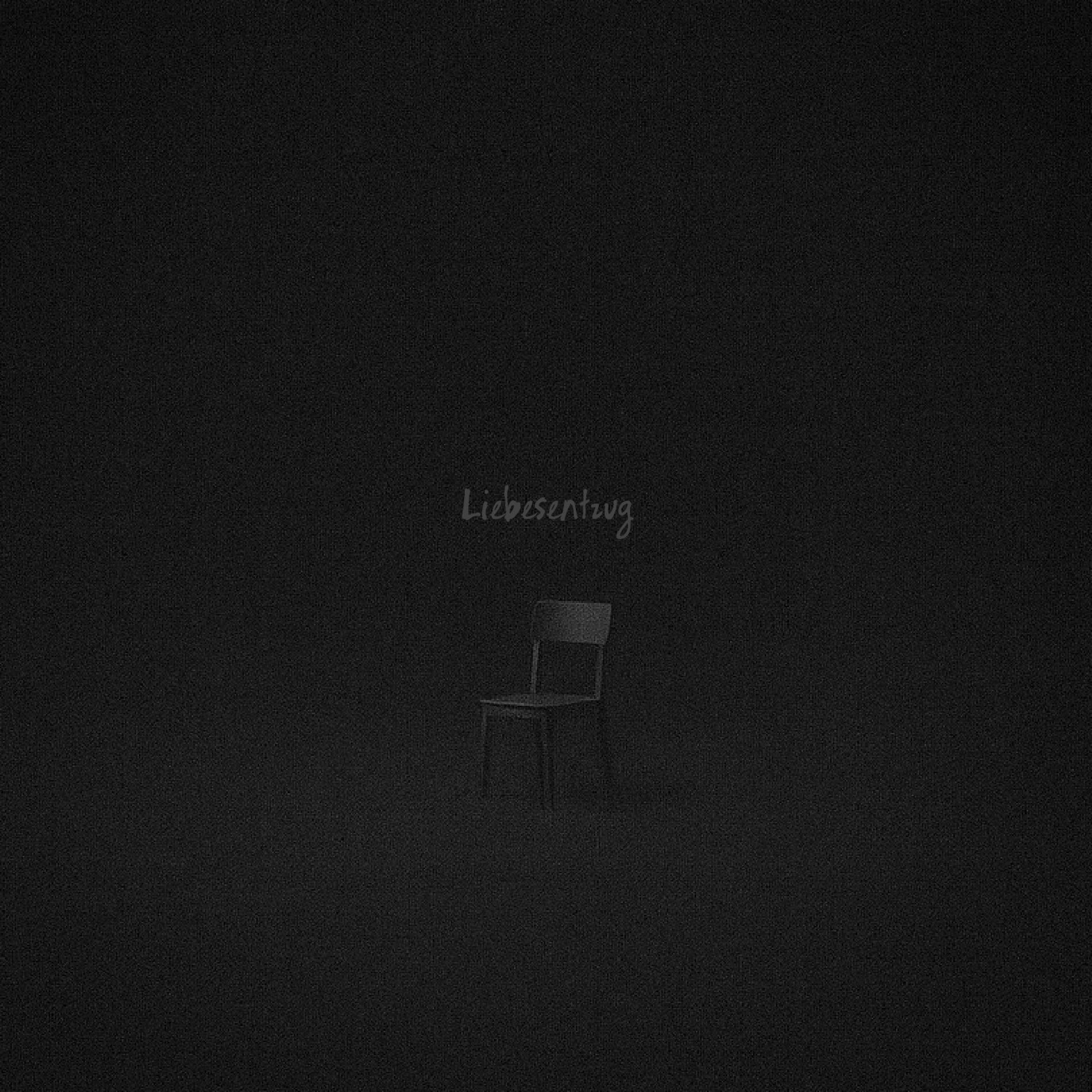 Album cover of Liebesentzug