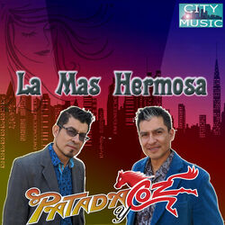 Cover of La Mas Hermosa (Norteño Sax)