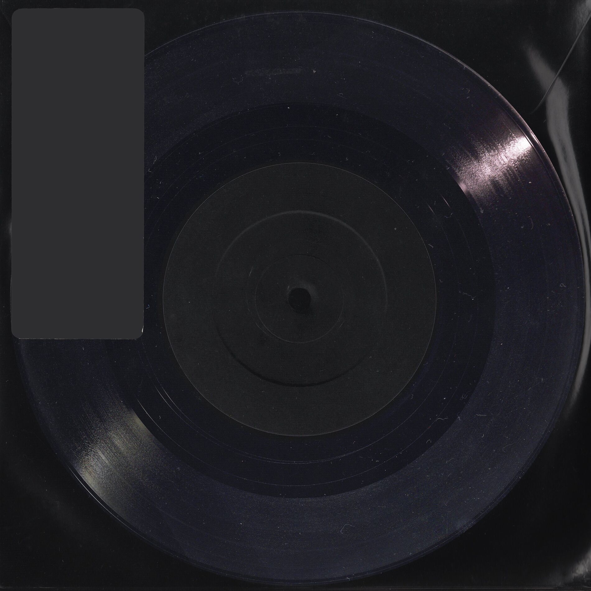 Album cover of Blackbird