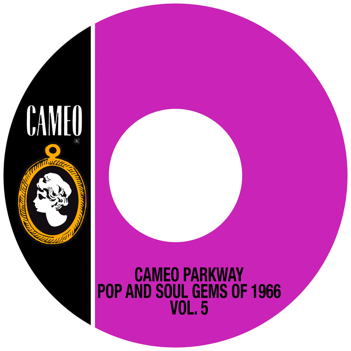 Album cover of Cameo Parkway Pop And Soul Gems Of 1966 Vol. 5