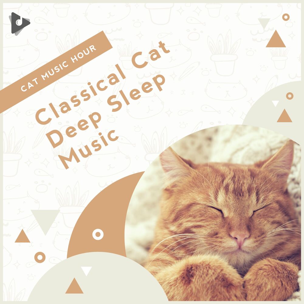 Picture of Classical Cat Deep Sleep Music