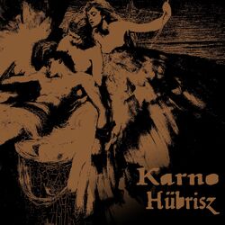 Cover of Hübrisz
