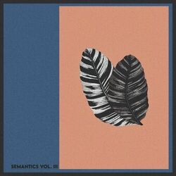 Cover of Semantics Vol. 3