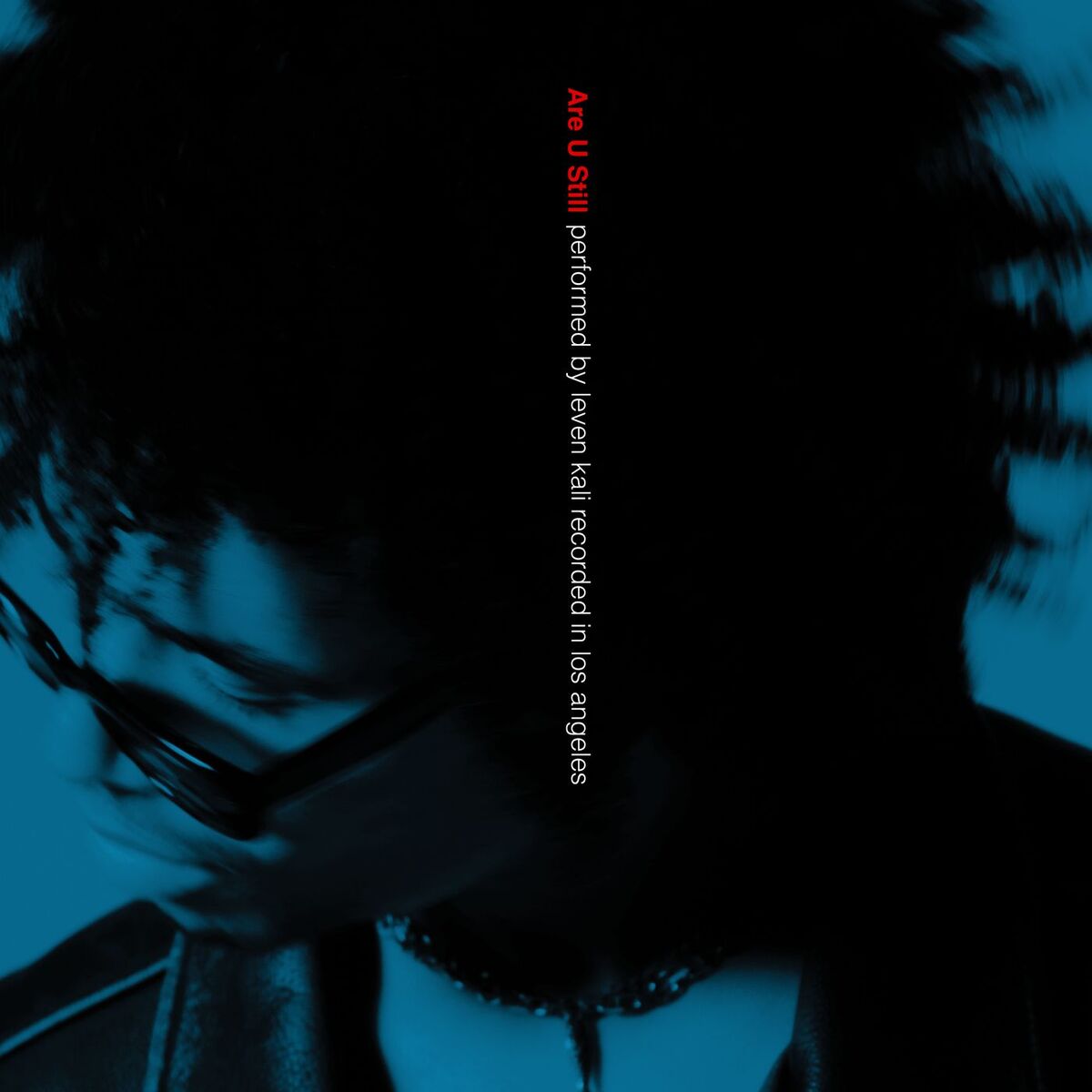 Album cover of Are U Still