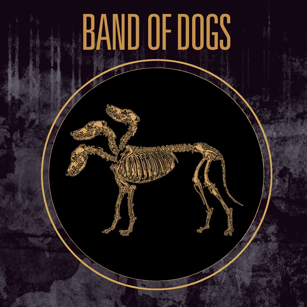 Picture of Band of Dogs