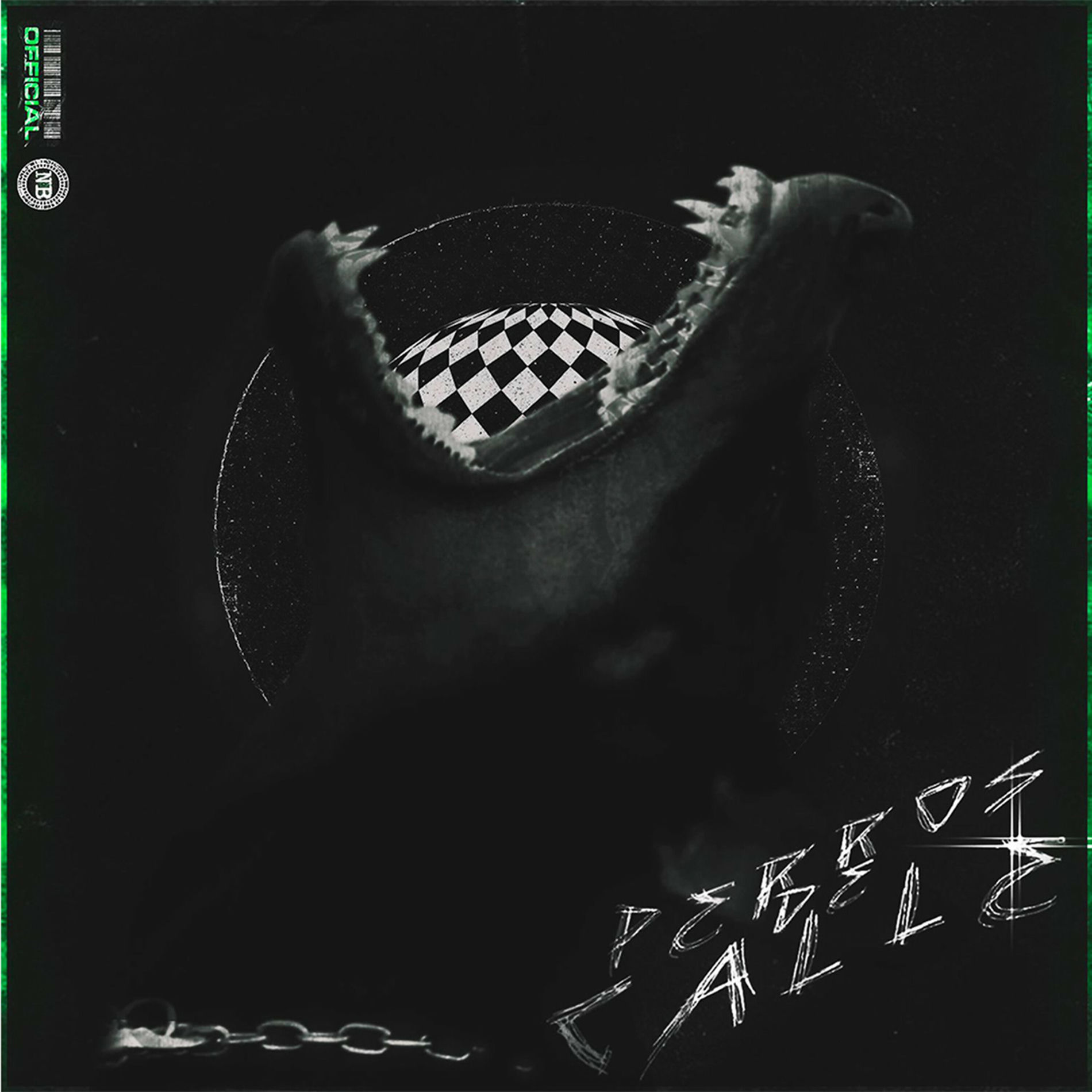 Album cover of Perros de Calle
