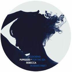 Cover of Looking for the Sea in Remix Pt. I