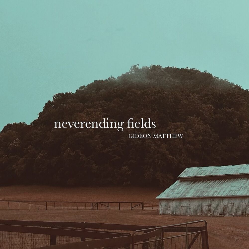 Picture of Neverending Fields