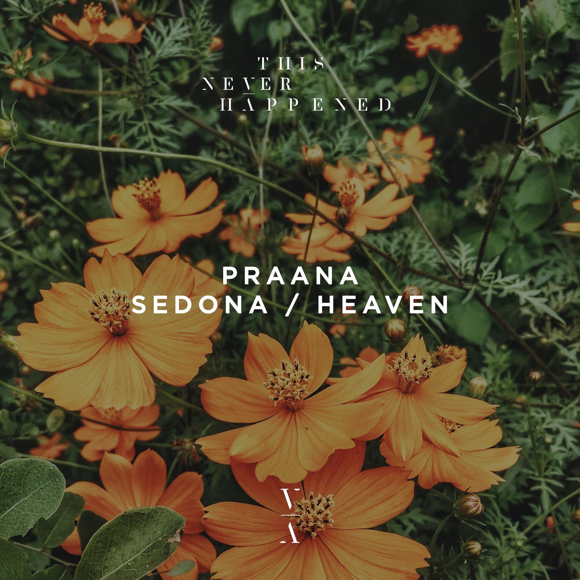Album cover of Sedona