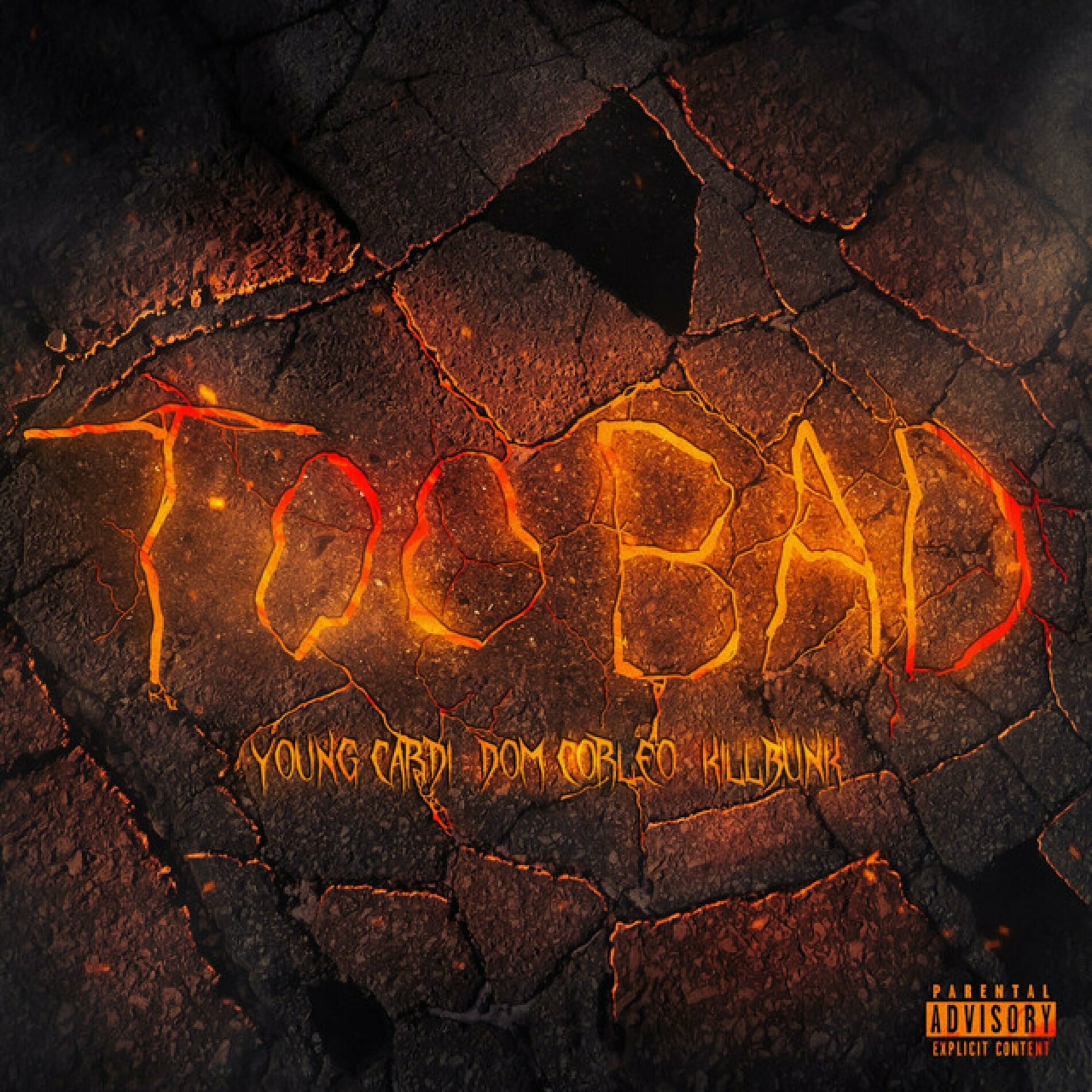 Album cover of TOO BAD