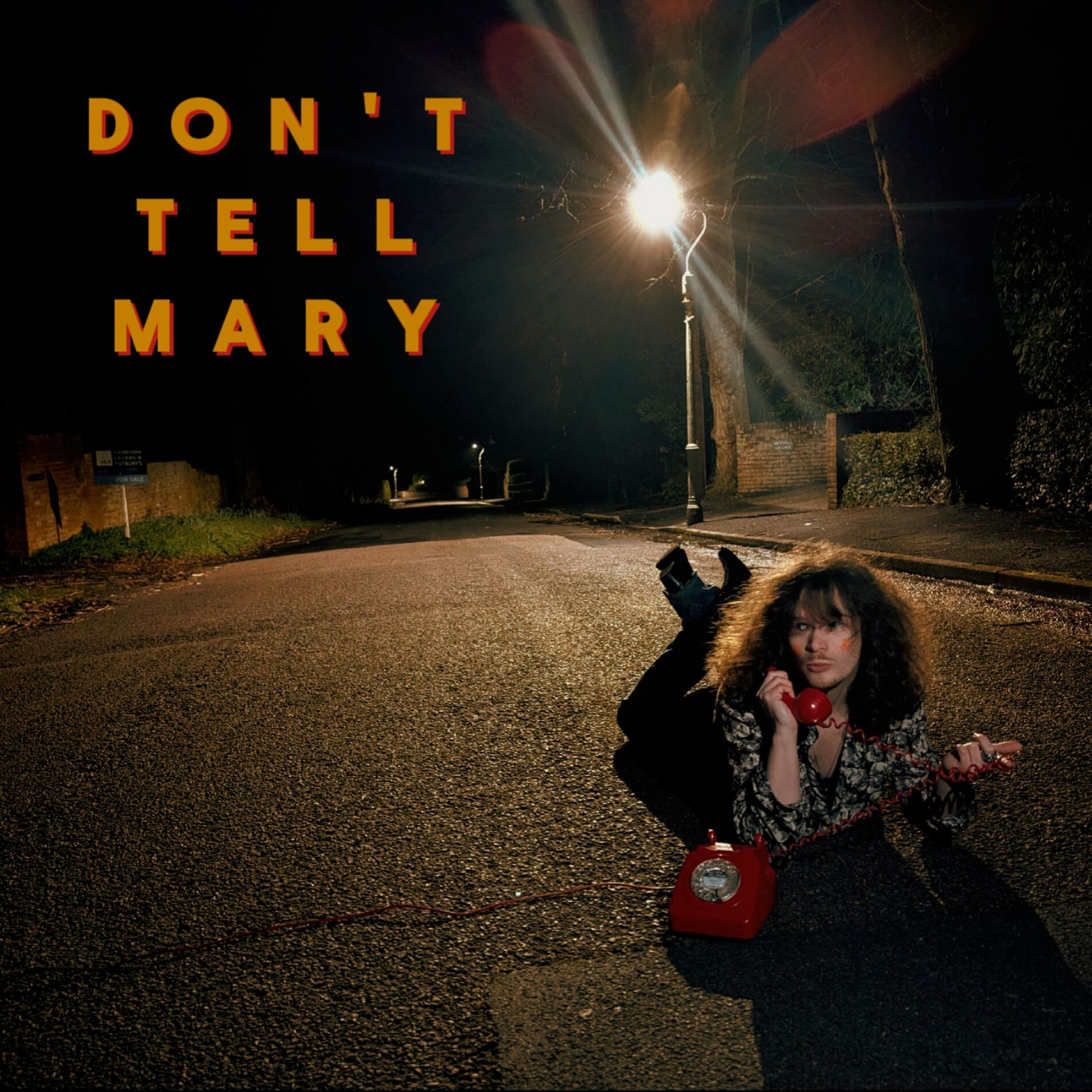 Album cover of Don't Tell Mary