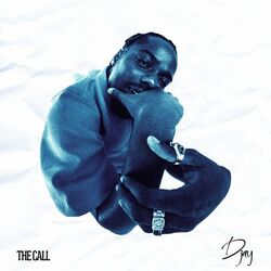Cover of The Call