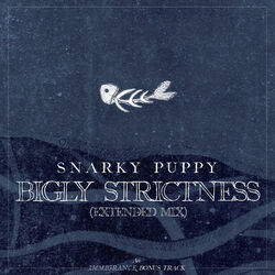 Cover of Bigly Strictness (Extended)