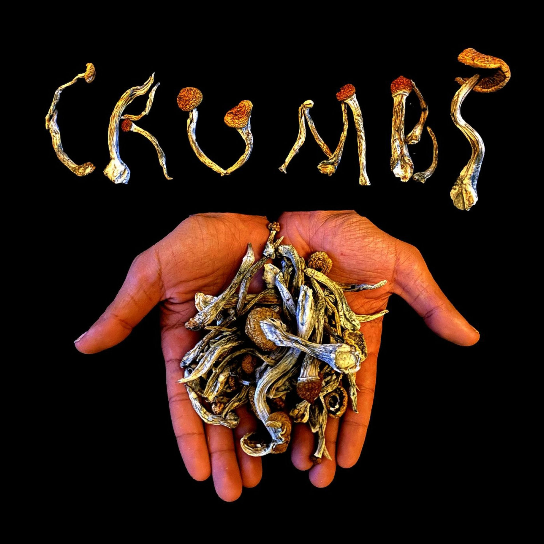 Album cover of Crumbs