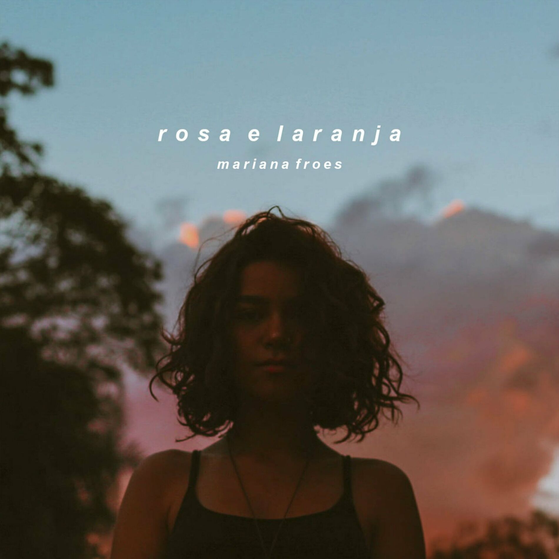 Album cover of Rosa e Laranja