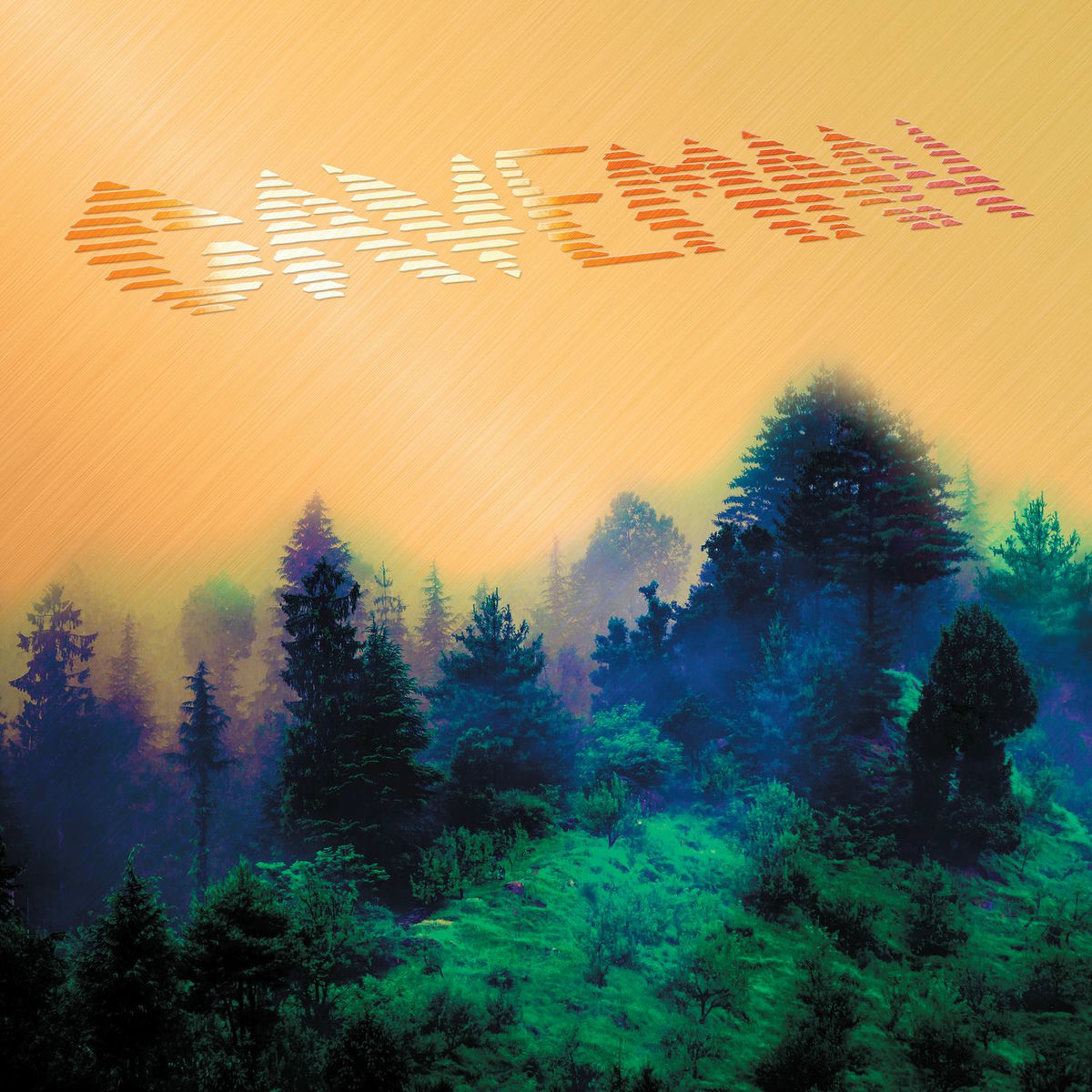 Album cover of Caveman