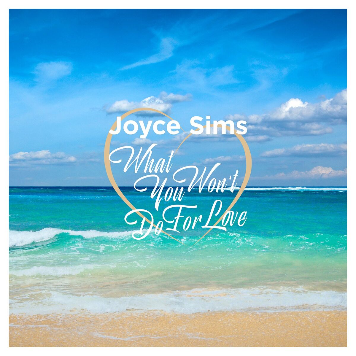 Album cover of What You Won't Do for Love