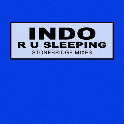 R U Sleeping (StoneBridge Mixes)