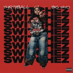 Cover of Switchez